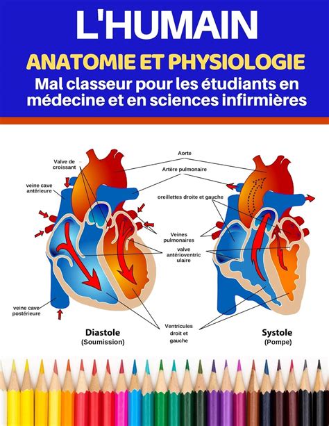 Buy L Humain Anatomie Et Physiologie Mal Classeur Pour Les Tudiants En