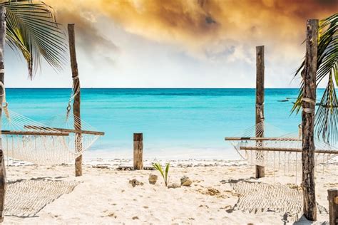 Premium Photo Beautiful View Of Palm And Hammocks On Zanzibar Beach