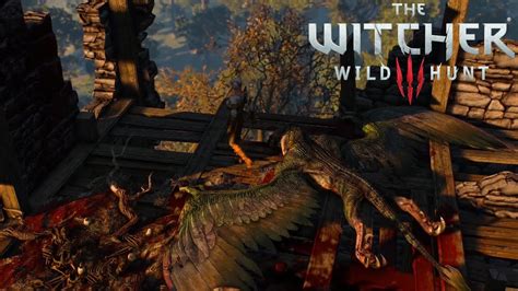 The Witcher 3 Wild Hunt Basilisk Boss Fight 1080p Youtube