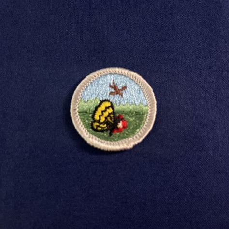 Vintage Boy Scout Nature Merit Badge Plastic Back Bsp Q Ebay