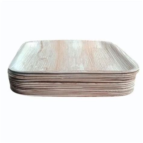 10 Inch Square Areca Palm Leaf Plate At Rs 6 Piece Pakku Mattai Plate