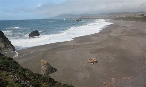 Beaches In Bodega Bay Ca California Beaches