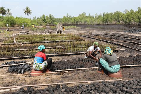 AIP La FAO édifie les parties prenantes sur les missions du projet