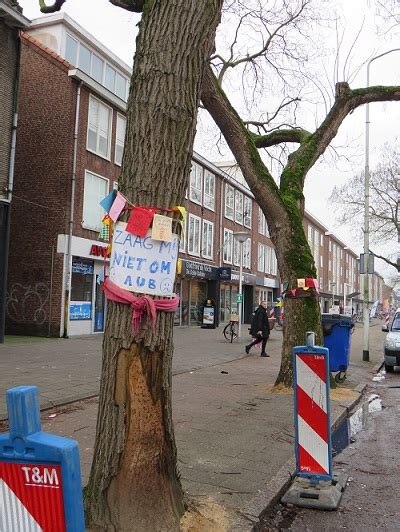 Herinrichting Heezerweg Gestart Trefpunt Groen Eindhoven