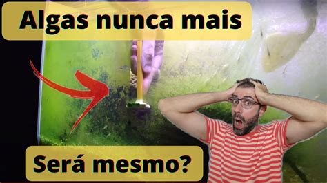 Como Limpar Aquario E Tirar Algas Verdes Do Vidro Muito Simples YouTube