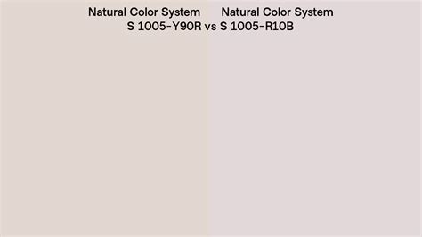 Natural Color System S 1005 Y90R Vs S 1005 R10B Side By Side Comparison