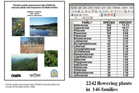 Monocot Plants List