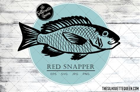 Hand Drawn Sketched Red Snapper Fish Graphic By Thesilhouettequeenshop