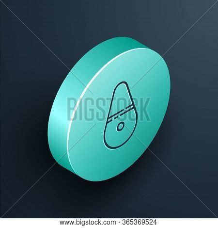 Isometric Line Dildo Vector Photo Free Trial Bigstock