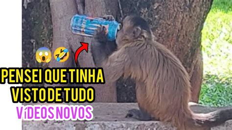 PENSEI Que TINHA VISTO DE TUDO ANIMAIS ENGRAÇADOS 2023 VIDEOS