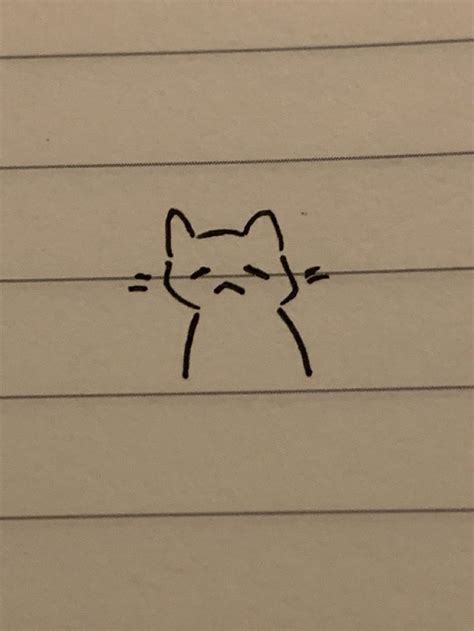 A Drawing Of A Cats Face Drawn On Lined Paper