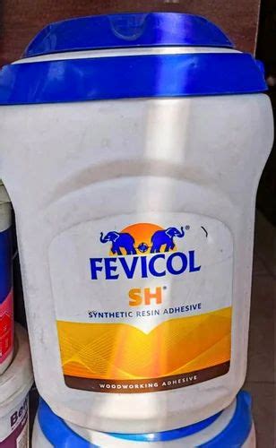 Fevicol SH Synthetic Resin Adhesive 5 Kg At Rs 1300 Piece In Vadodara