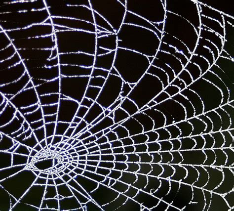 teachers web   beginners guide  webs    moderation