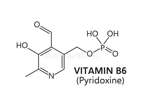 Fórmula Vitamínica B6 Estructura Química De Línea Delgada Stock De Ilustración Ilustración De