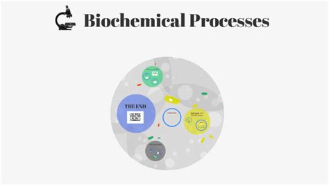 Biochemical Processes By Liz Edwards On Prezi