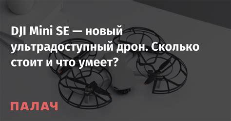 DJI Mini SE — новый ультрадоступный дрон. Сколько стоит и что умеет ...