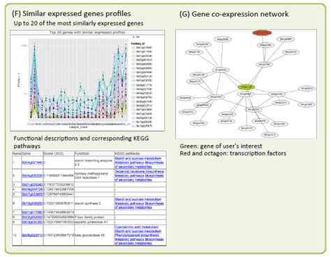 The Sorghum Transcriptome Database Rna Seq Blog