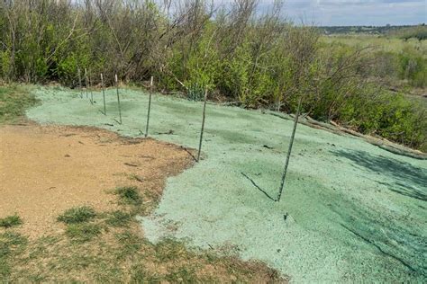 Hydroseeding What It Is And How Its Beneficial