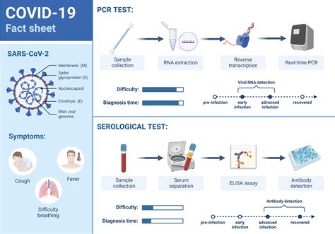 Covid 19 Fact Sheet Biorender Science Templates