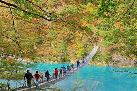 5 Must See Nature Escapes In Shizuoka Prefecture GOOD LUCK TRIP