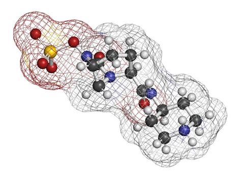 Relebactam Drug Molecule. Beta-lactamase Inhibitor that is Adminstered ...