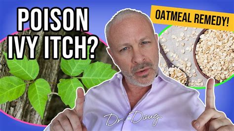 Poison Ivy Remedy Oatmeal Dr Doug Willen Youtube