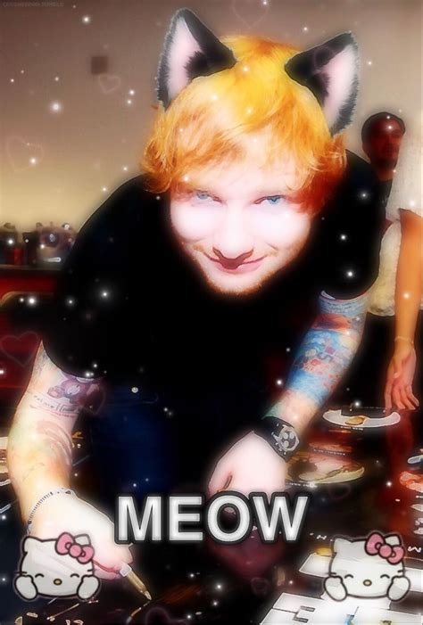 🥺uwu🥺 Ed Sheeran Memes Really Funny Funny Pictures Cant Stop Laughing