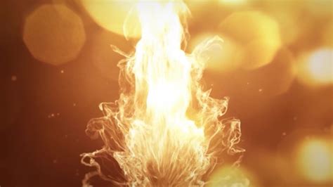 When White Chub Gives Blowjob To Hung Brown Cock Till Orgasm Pornhub Gay