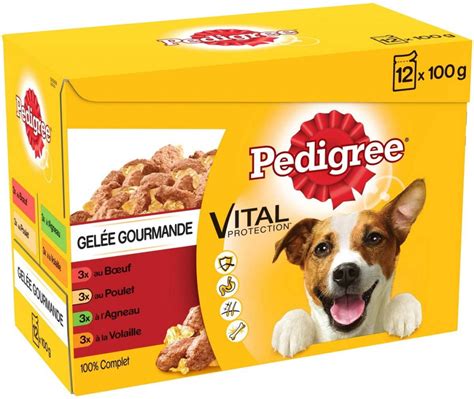 Meilleure Alimentation Pour Chien D Appartement