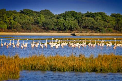 Reserva Natural do Estuário do Sado Enoturismo