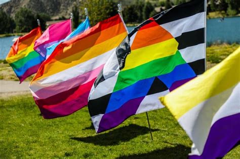 The Meanings Behind Lgbtqia Flags A Guide To Understanding Their Significance The Pink Times