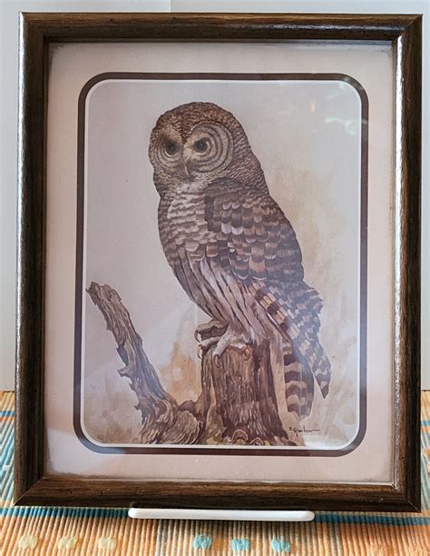 Pair Of Vintage Brown Owl Prints In Frame Signed By E Rambow Etsy