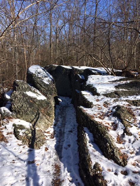 Rocky Ridge County Park Mountain Bike Trail in York, Pennsylvania ...