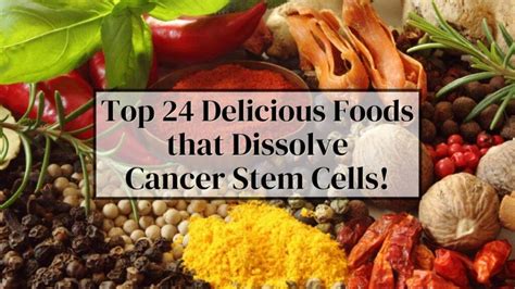 Top 24 Delicious Foods That Dissolve Cancer Stem Cells