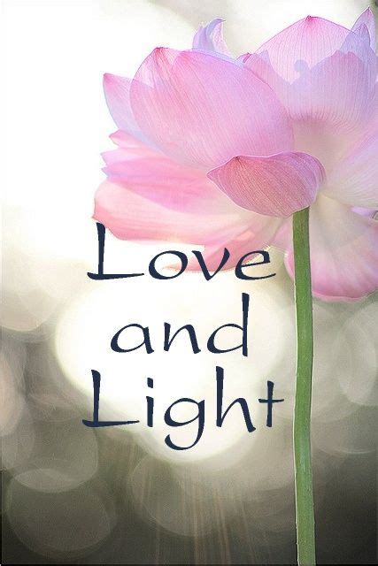 Love and Light! | Love and light quotes, Lov