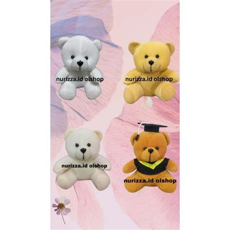 Jual Bear Toga Cm Bear Bucket Cm Boneka Wisuda Cm Shopee