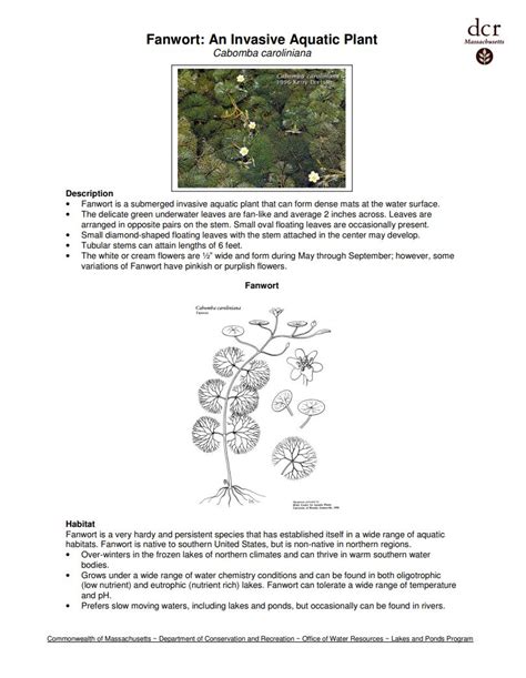 Fanwort Profile And Resources Invasive Species Centre