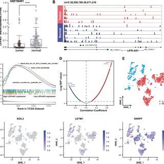 The Features Of LIFR AS1 And Neighboring Genes In CRC A The Position