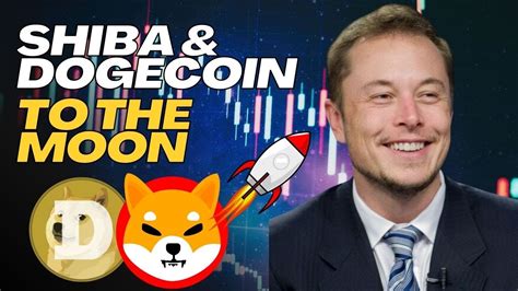 Elon Musk Lo Ha Vuelto A Hacer Shiba Inu Criptomoneda Noticias