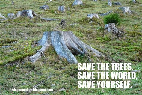 Slogan on Deforestation | SloganUpdate