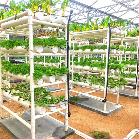 Pvc Gutter Soilless Culture Greenhouse Vertical Hydroponics Nft Grow