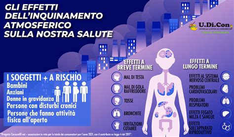 Infografica Gli Effetti Dellinquinamento Atmosferico Sulla Nostra