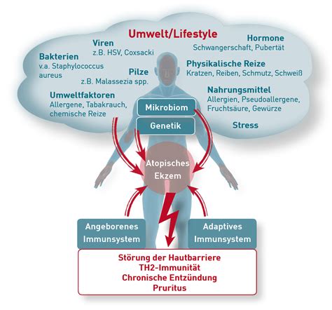 Diagnostik Bei Verdacht Auf Atopische Dermatitis Neurodermitis