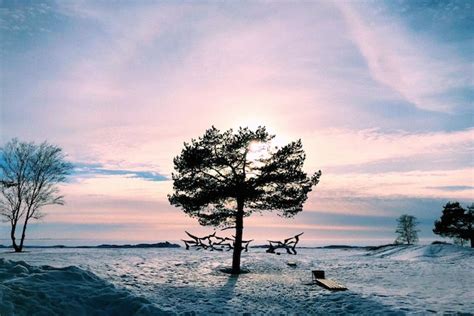 Premium Photo Silhouette Tree By Sea Against Sky During Sunset