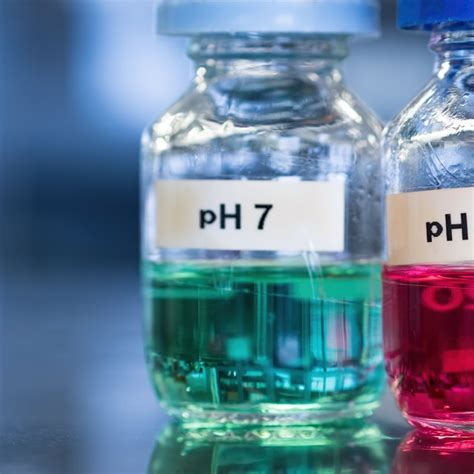 How to Design an Experiment to Test How pH Affects Enzyme Reactions | Sciencing