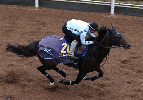 【チャンピオンズc】リーデル 切れ切れ12秒3「6歳馬でも若々しい」― スポニチ Sponichi Annex ギャンブル