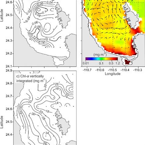 Surface Horizontal Distribution Of Chlorophyll A A In Situ Download Scientific Diagram