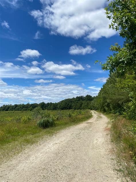 Pinterest Widget Summer Vibes Natural Beauty Country Roads Sky