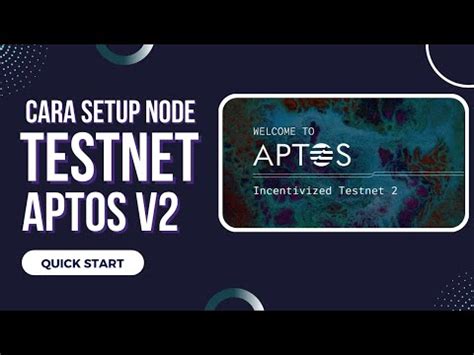 Cara Setup Node Dan Registrasi Testnet Aptos Incentivized Testnet