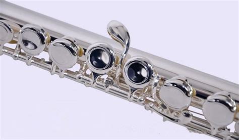 Flute Holes Silver C Tone With Case Musical Instruments